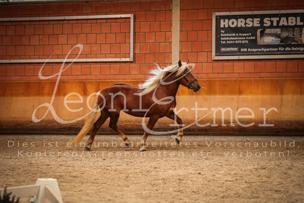 SaFL00496 | Leoni Ertmer Photography - Realisiert mit Pictrs.com