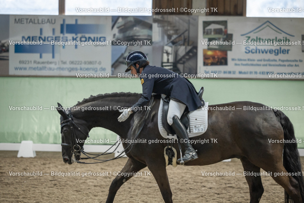 _D5A6860 | Emotionale Pferde- & People-Fotografie rund um Heidelberg, Leimen & Umgebung. Natürliche Fotos von Pferd, Mensch & Familie. Jetzt Termin sichern!