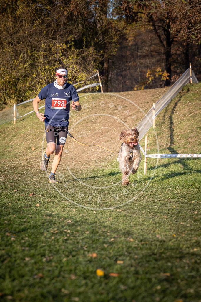 CaniXpix_0L8A0420 | Hundefotografie, Tierfotograf, Pfotenfotografie, Fotoshooting Hund, Hunde Portrait, Hundesport, Hundeportraits, Heideshooting, Hunde, Sportfotograf, Hundefotograf, Turnierhundsport, THS,  - Realisiert mit Pictrs.com
