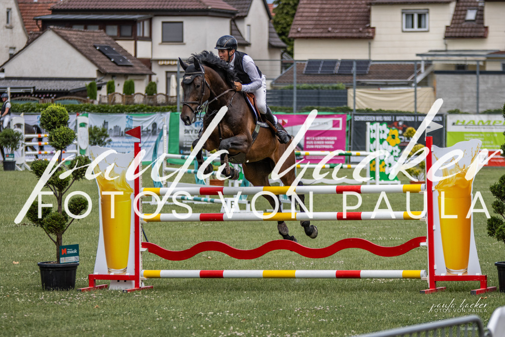 IMG_7021 | Erleben Sie dynamische Sport- und emotionale Tierfotografie in Süddeutschland mit Fotos von Paula. Spezialisiert auf Pferde- und Hundefotografie sowie Sportevents. Kontaktieren Sie mich für einzigartige und ausdrucksstarke Bilder Ihrer besonderen Momente. - Realisiert mit Pictrs.com