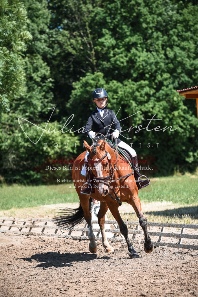 DSC_3436 | Pferde- und Turnierfotografie in Westsachsen. Pferdeportraits, Auftragszeichnungen und intuitive Kunst.