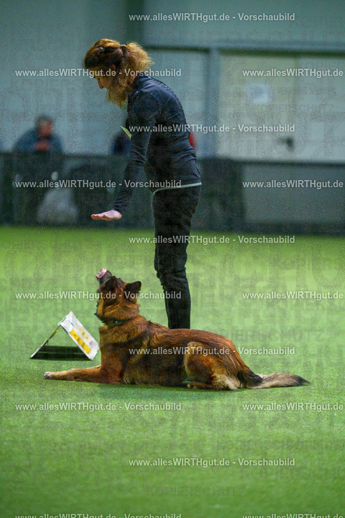 7R500955 | Professionelle Tierfotografie in Mönchengladbach von Daniel Wirth (allesWIRTHgut). Liebevolle & natürliche Bilder von Hunden & Katzen für unvergessliche Erinnerungen.