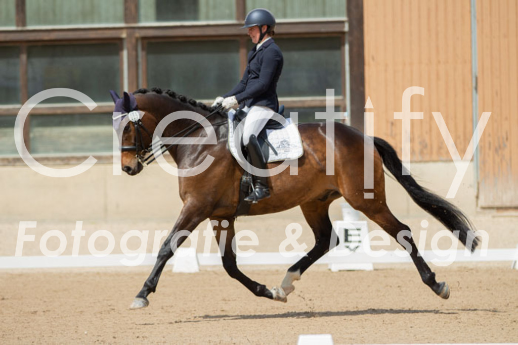 IMG_5620 | Creatify Fotografie