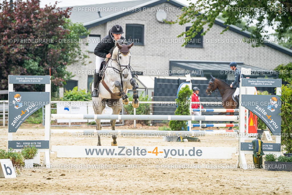 DSC00518 | Pferdegrafie