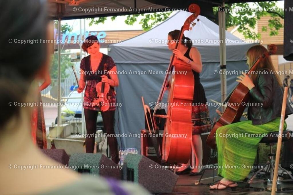 IMG_4564 | aragon-pics - Realisiert mit Pictrs.com