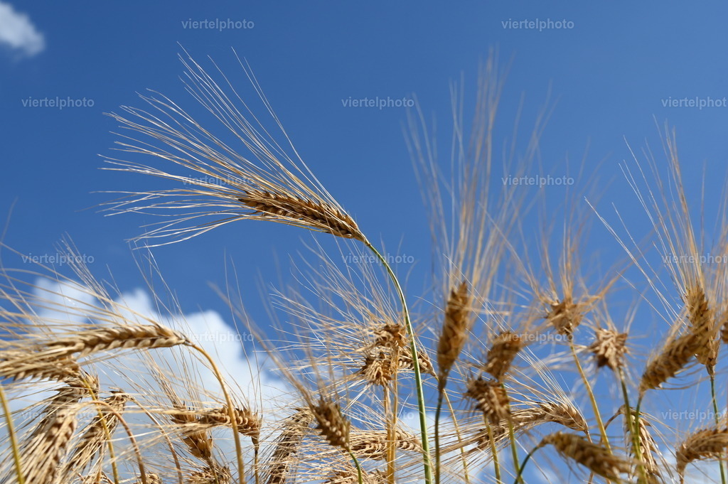 Frühling | Motiv mit Rahmen - Realisiert mit Pictrs.com