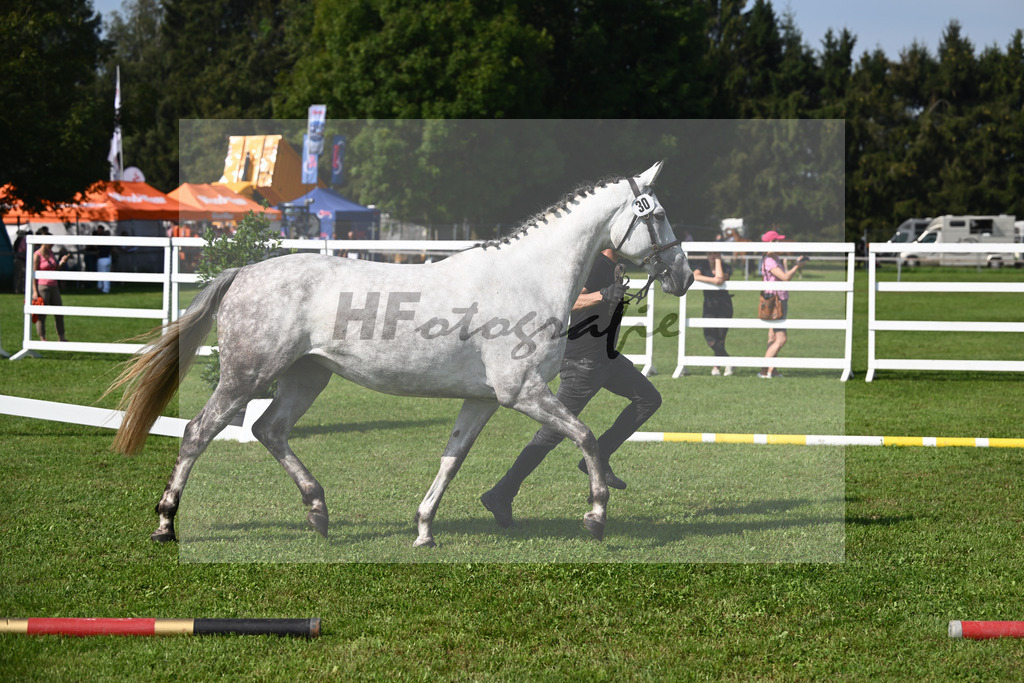 Kat-Nr. 30 Triest_Bray_34240402 | hf-fotografie - Realisiert mit Pictrs.com