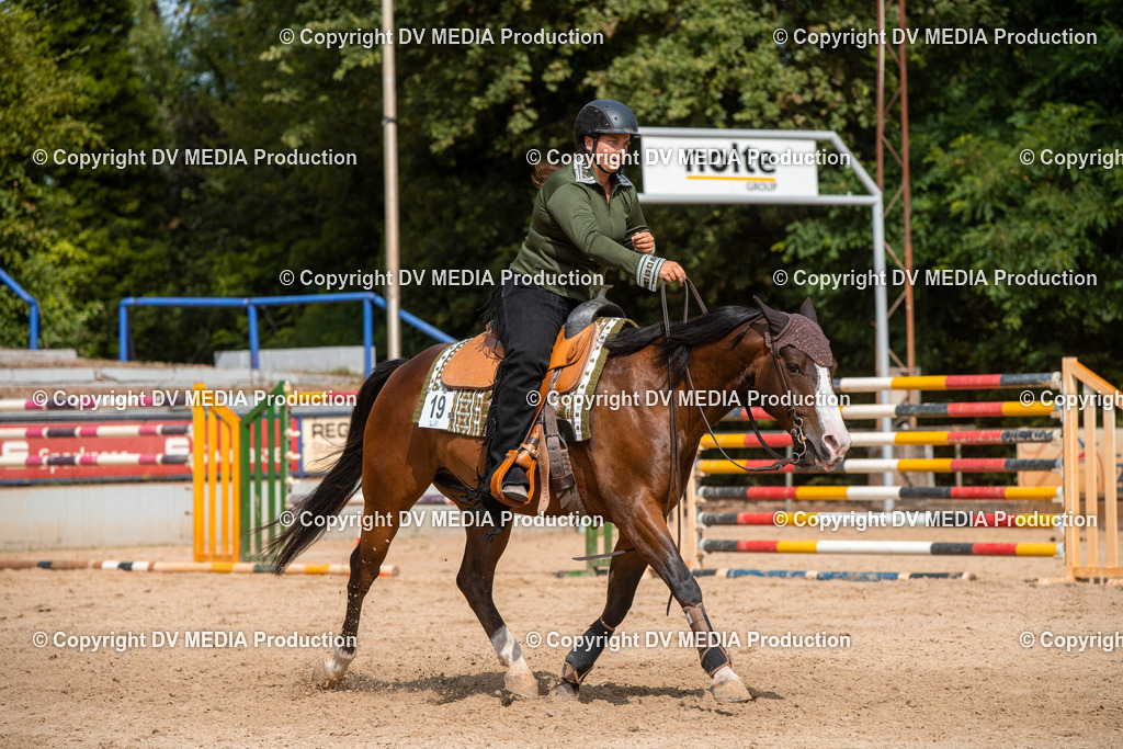 EWP_5946 | dv-media-shop - Realisiert mit Pictrs.com