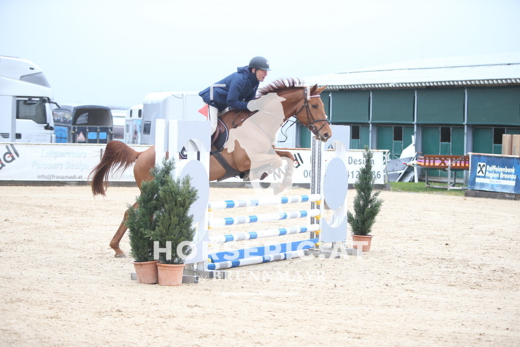 AS8V9435 | Willkommen bei Brunnmayr - Design & Fotografie – Ihrem Spezialisten für Reitturniere und Pferdeveranstaltungen in Oberösterreich, Salzburg und Bayern! Seit über 17 Jahren sind wir leidenschaftlich dabei.