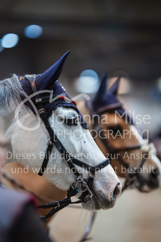 240120_Leipzig_PonyTrophy-107 | Deine schönsten Turniermomente als professionelle Fotos! Entdecke hochwertige Pferdesport-Fotografie im Online-Shop. Jetzt Fotos finden & bestellen!