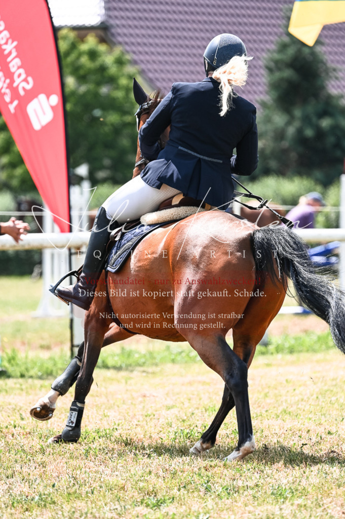DSC_9285 | Pferde- und Turnierfotografie in Westsachsen. Pferdeportraits, Auftragszeichnungen und intuitive Kunst.