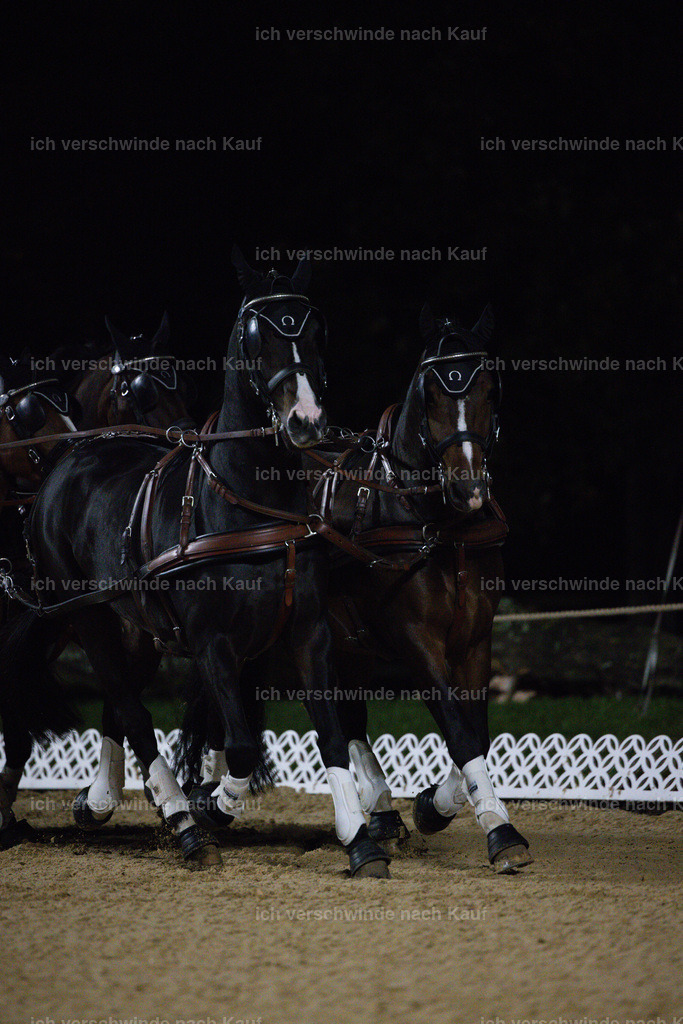 FHClassics-283 | working equitationturnier fotograf videograf stoibphotography marixx film working equitation deutschland reitsport turnierfotografie eventfotografie equestrian events