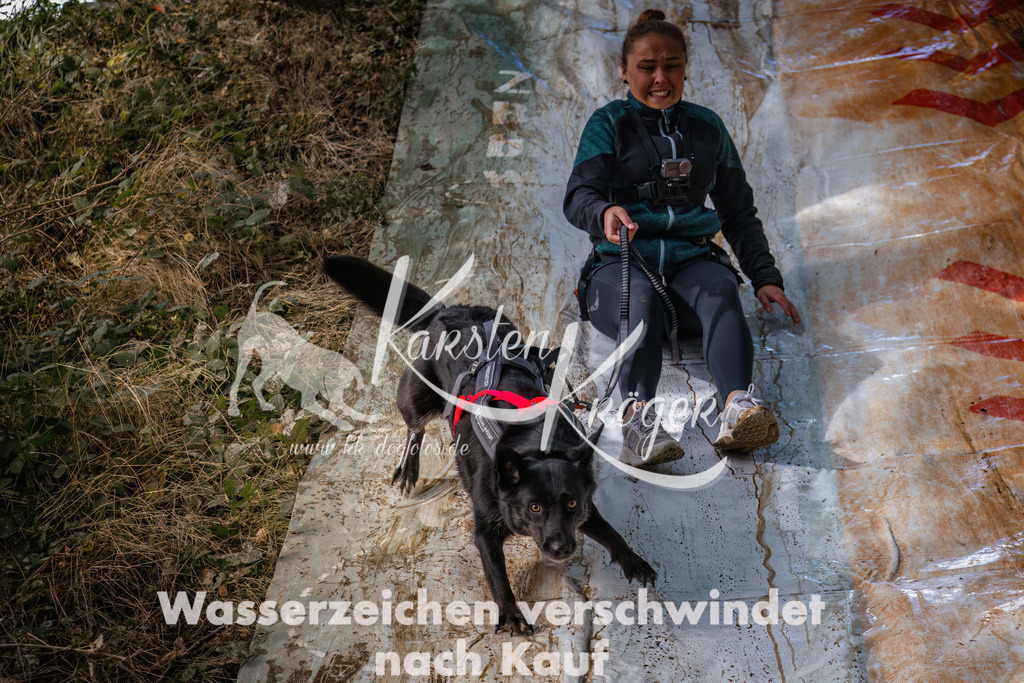 1354_ZZ93263 | kk-dogfotos