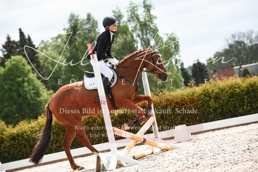 20230518_JK-Röhrsdorf-10-140 | Pferde- und Turnierfotografie in Westsachsen. Pferdeportraits, Auftragszeichnungen und intuitive Kunst.