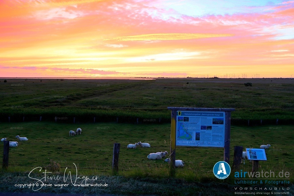 _MG_6564 | Entdecken Sie atemberaubende Luftbilder und Fotografien auf airwatch.de - Tauchen Sie ein in eine Welt voller faszinierender Aufnahmen aus der Vogelperspektive.