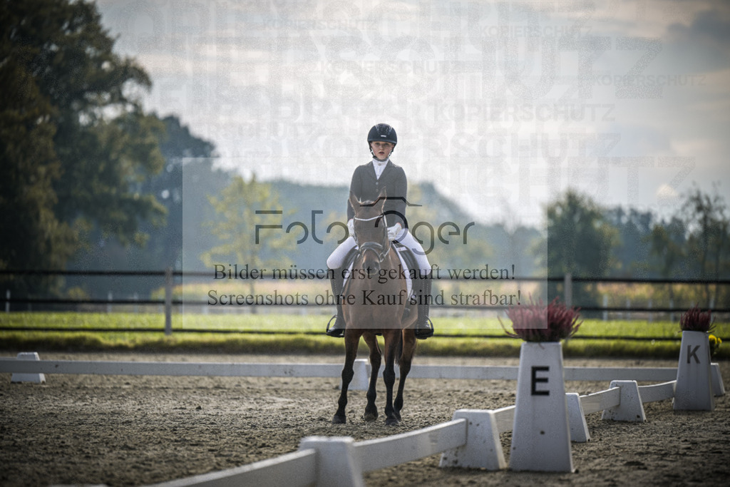 DOS_B140 | Entdecke hochwertige Reitturnierfotos von Foto Oger. Professionell, emotional und authentisch – jetzt Lieblingsmomente im Shop bestellen.Deutschlandweite Turnierfotografie. - Realisiert mit Pictrs.com