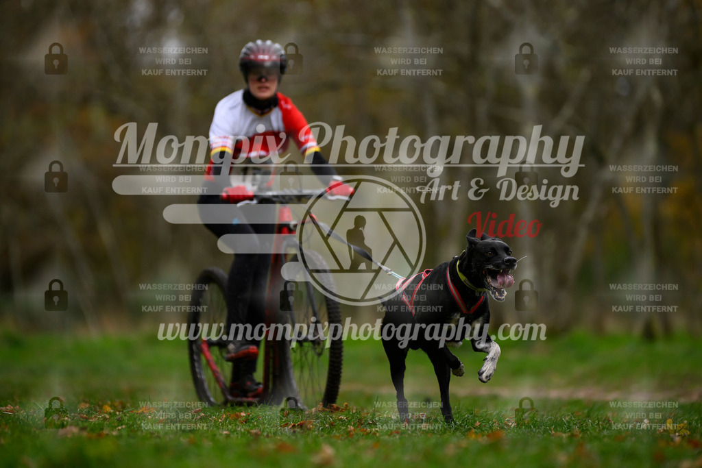 MompixPhotography_Bischwiller24_SA_DS1-2 | PayLife