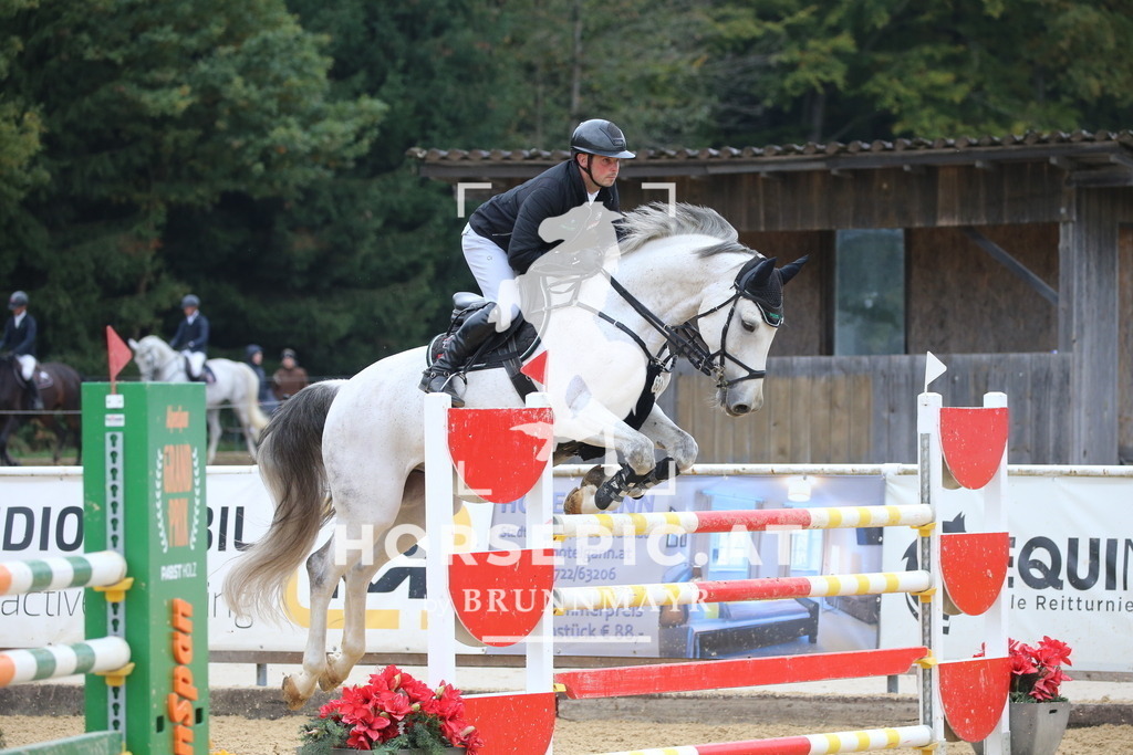 DL2Q3092 | Willkommen bei Brunnmayr - Design & Fotografie – Ihrem Spezialisten für Reitturniere und Pferdeveranstaltungen in Oberösterreich, Salzburg und Bayern! Seit über 17 Jahren sind wir leidenschaftlich dabei.