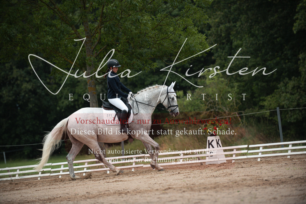 DSC_9682 | Pferde- und Turnierfotografie in Westsachsen. Pferdeportraits, Auftragszeichnungen und intuitive Kunst.