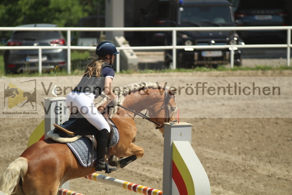 IMG_2063 | equestrian-live-com