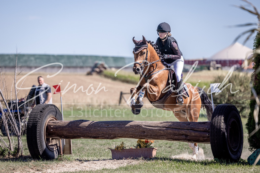 20260906-_3LI4281 | Tierfotografie Pferde, Hunde, Katzen, Haustiere.
Turnierfotografie Reitturniere, Reiten, Springreiten, Dressur in Hanau, dem Main-Kinzig-Kreis und dem Rhein-Main- Gebiet um Frankfurt