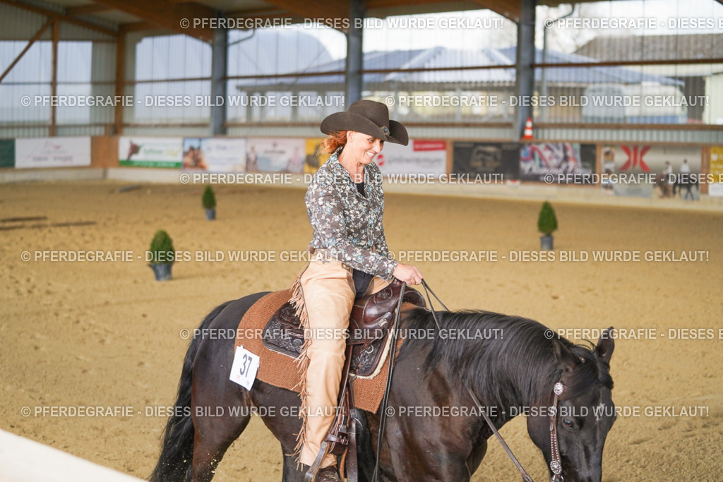 DSC01982 | Pferdegrafie