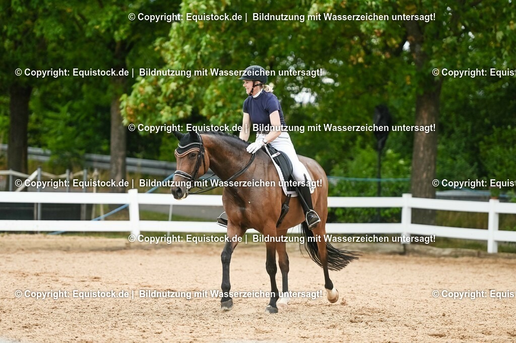 20230716_01_Dressurprüfung Kl.M_0453 | equistock