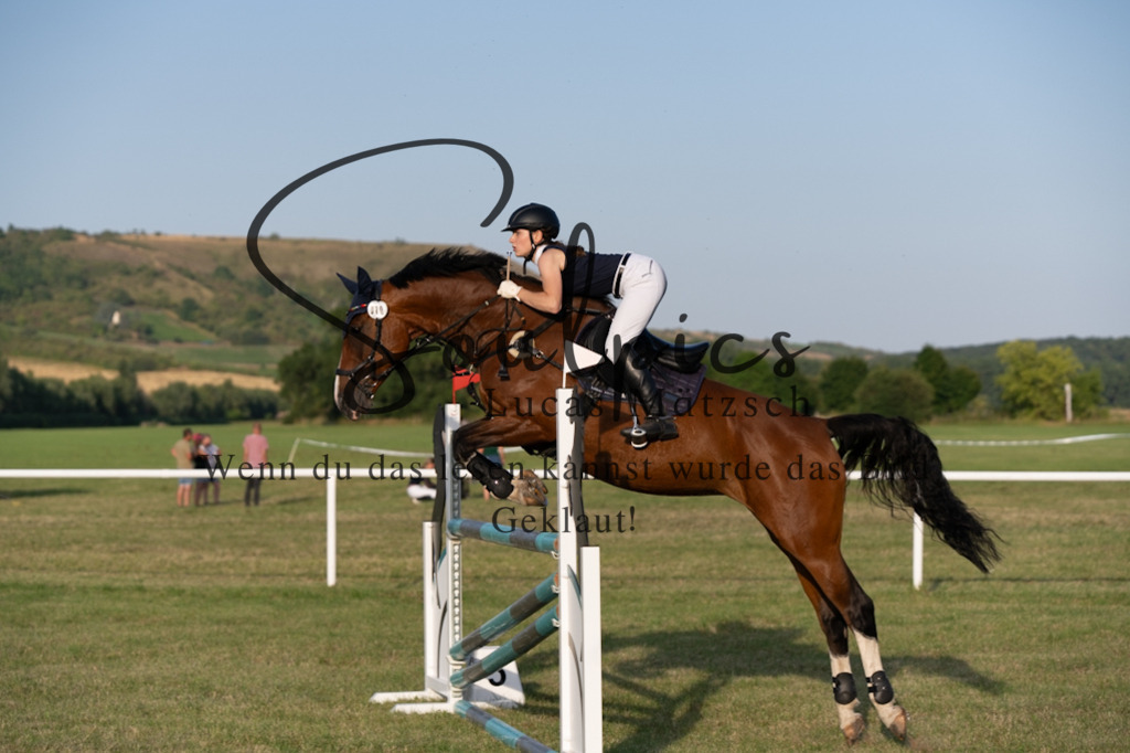 A7V01025 | Pferdefotograf