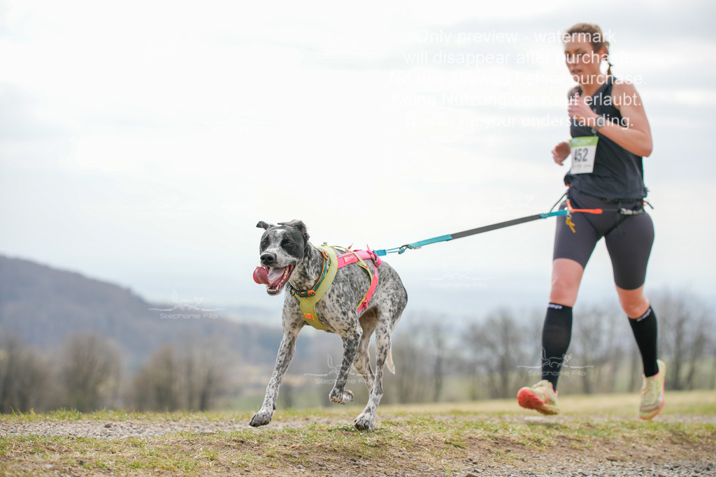CaniXRunSA-251 | stephaniefillaphotographie - Realisiert mit Pictrs.com