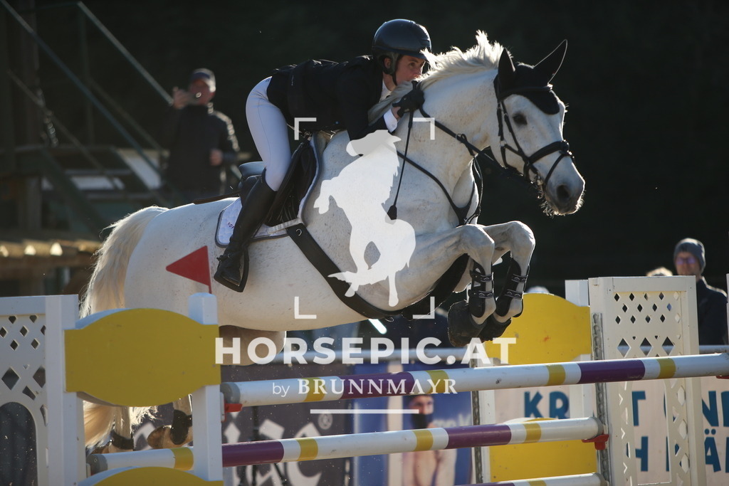 PP016011 | Willkommen bei Brunnmayr - Design & Fotografie – Ihrem Spezialisten für Reitturniere und Pferdeveranstaltungen in Oberösterreich, Salzburg und Bayern! Seit über 17 Jahren sind wir leidenschaftlich dabei.