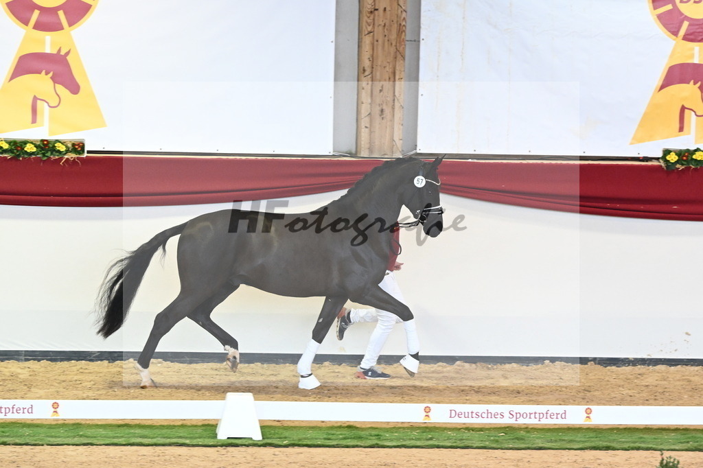 Kat.-Nr. 57 v. McLaren_Schulze Averdiek_2240662 | hf-fotografie - Realisiert mit Pictrs.com