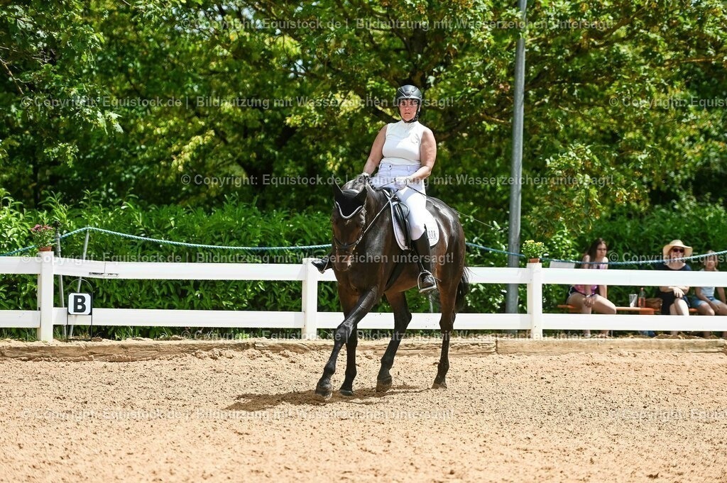 20230715_05_Dressurprüfung Kl.A++_0127 | equistock