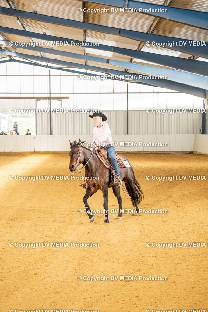 MIT01399 | dv-media-shop - Realisiert mit Pictrs.com