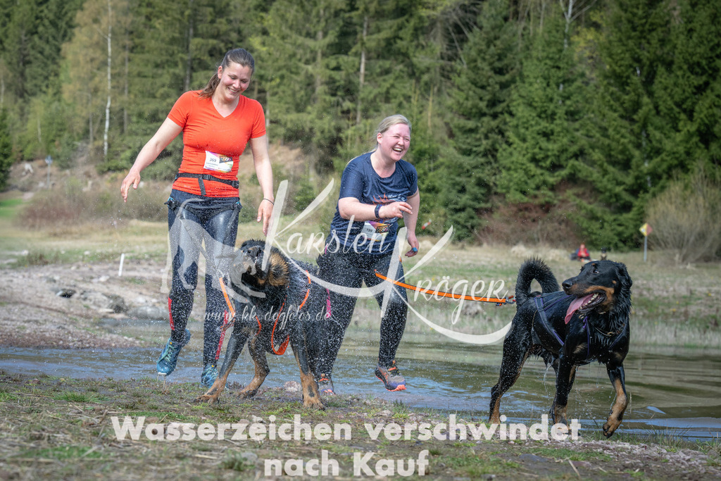 1114_ZZ93453 | kk-dogfotos