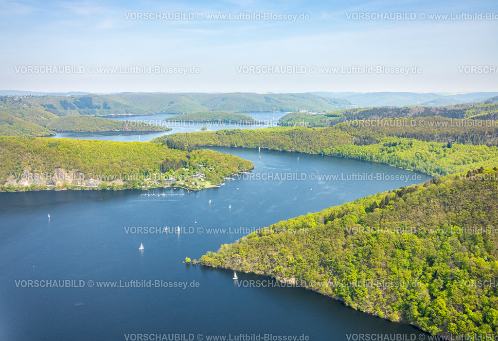 Simmerath240501952Rursee | Luftbild, Segelboote auf dem geschlungenen Rursee mit hügeligem Waldgebiet, Rurtalsperre Schwammenauel, Segelclub Jülich mit Bottsanlegestellen, Woffelsbach, Simmerath, Nordrhein-Westfalen, Deutschland
