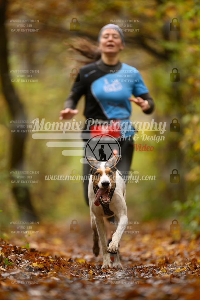 MompixPhotography_CD7S_DI_CCL-11 | mompixphotography