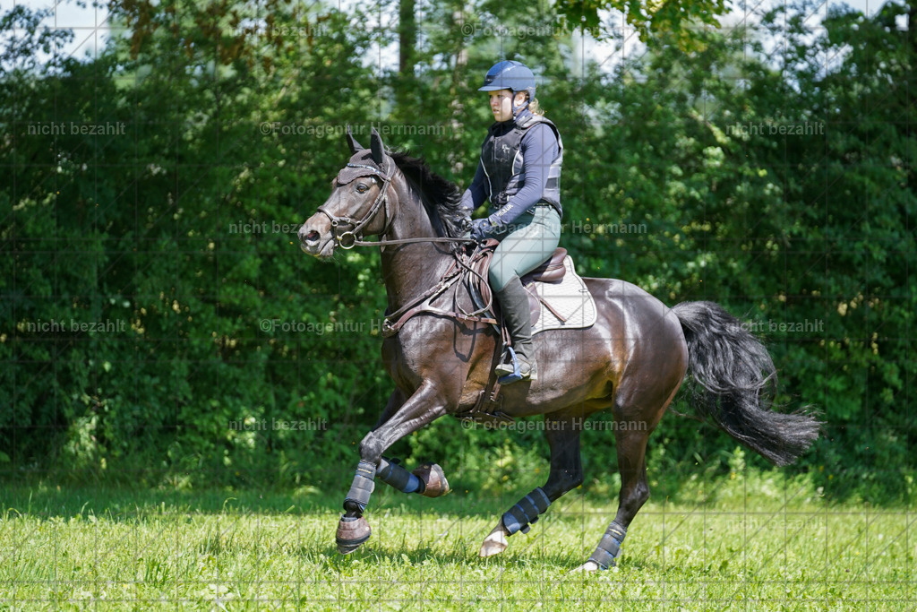 20240622-FAH06772 | Turnierfotografen Bayern, Reitsportbilder aus dem Geländekurs mit Felix Etzel auf dem Gut Waitzacker 2024
