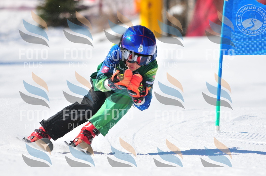 C3659 | holidayphoto