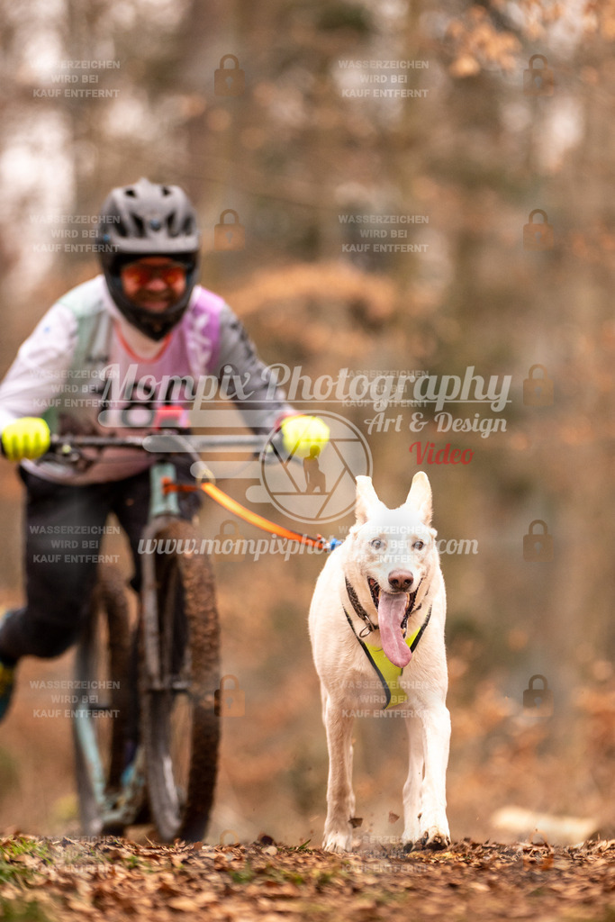 AKM_ST_2023_SAM_Scooter-54 | PayLife