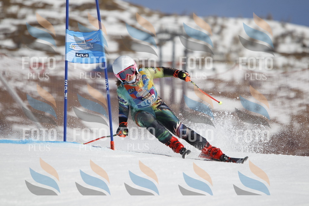 _U3G0350 | holidayphoto