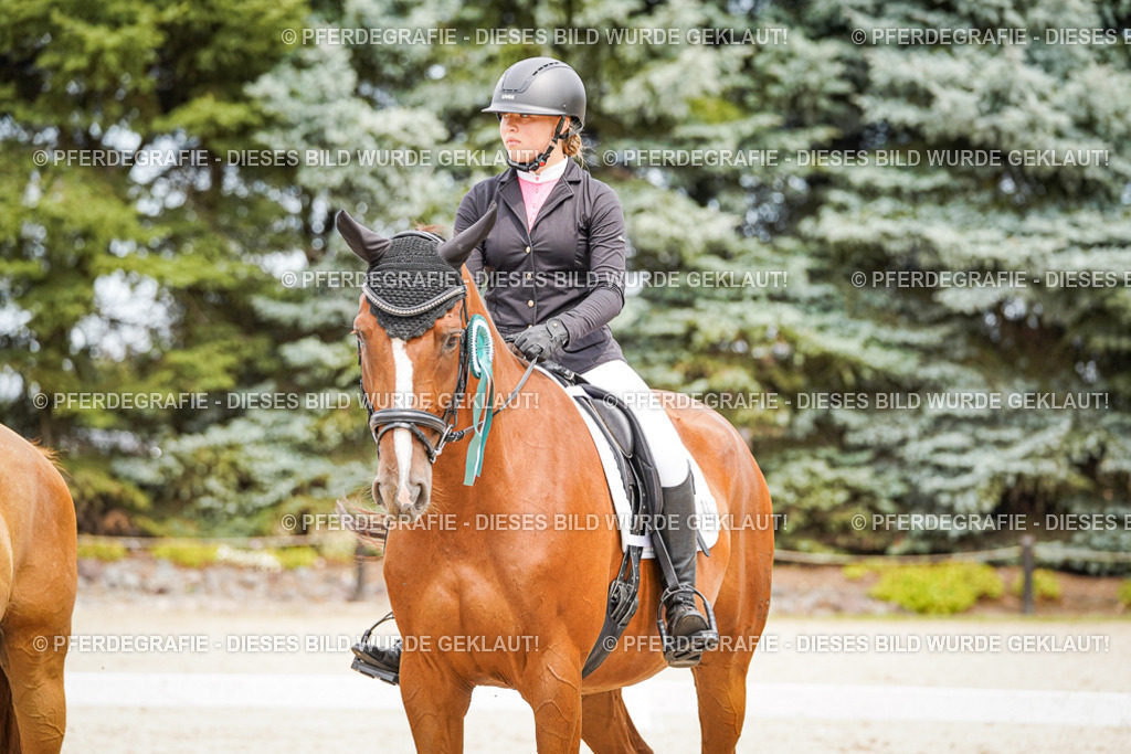 DSC04595 | Pferdegrafie