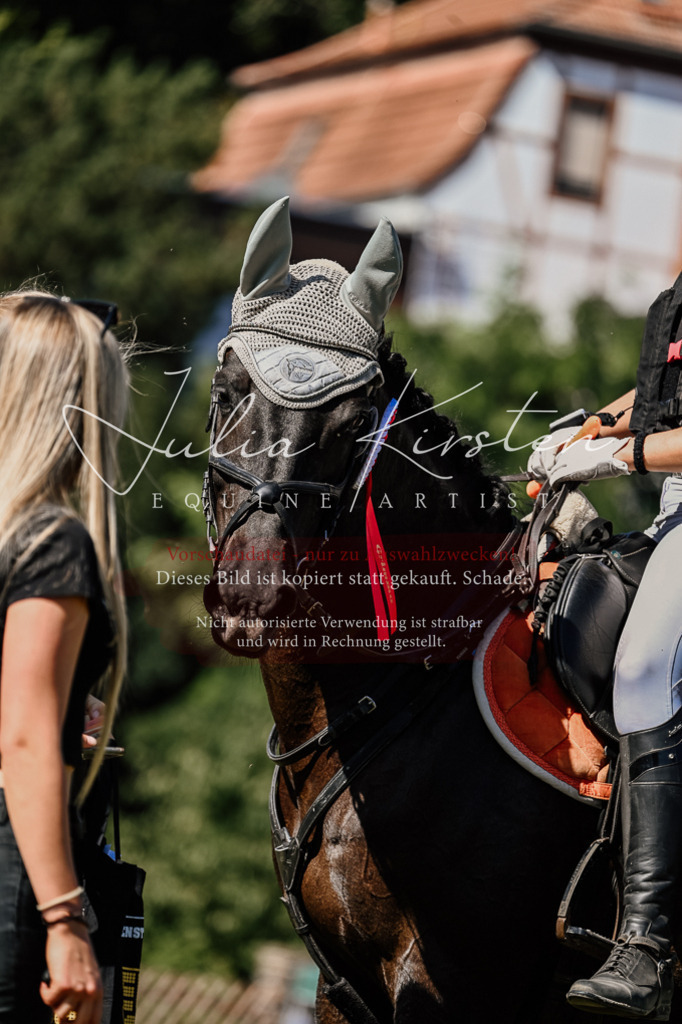 DSC_2618 | Pferde- und Turnierfotografie in Westsachsen. Pferdeportraits, Auftragszeichnungen und intuitive Kunst.