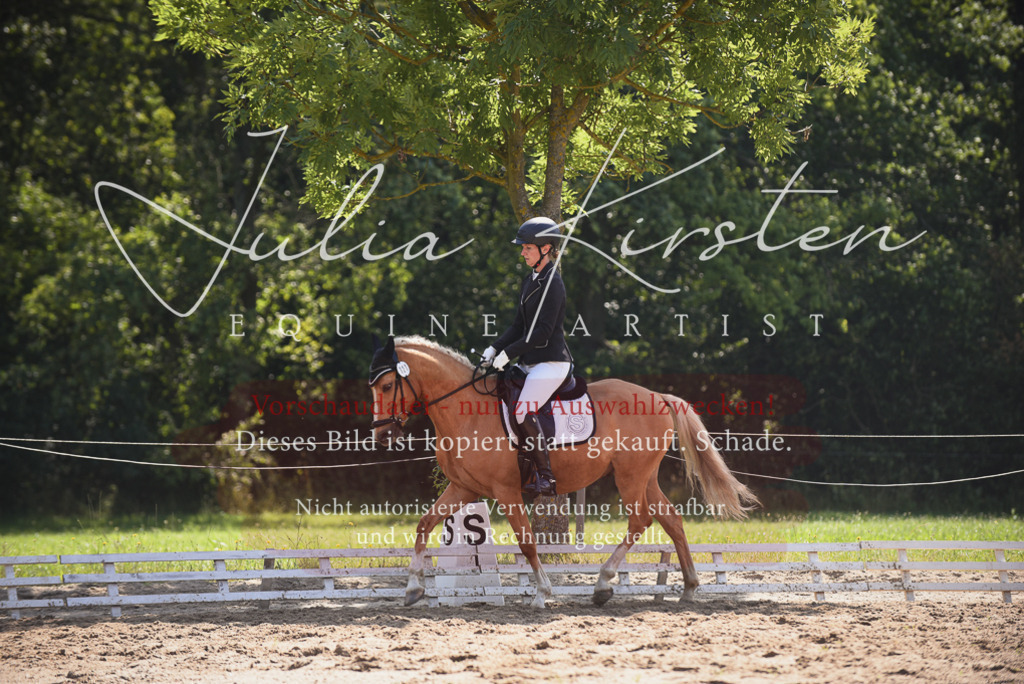 DSC_0596 | Pferde- und Turnierfotografie in Westsachsen. Pferdeportraits, Auftragszeichnungen und intuitive Kunst.