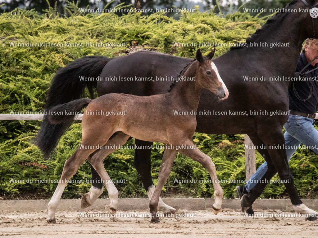 A10I9589 | photographylinaismer - Realisiert mit Pictrs.com