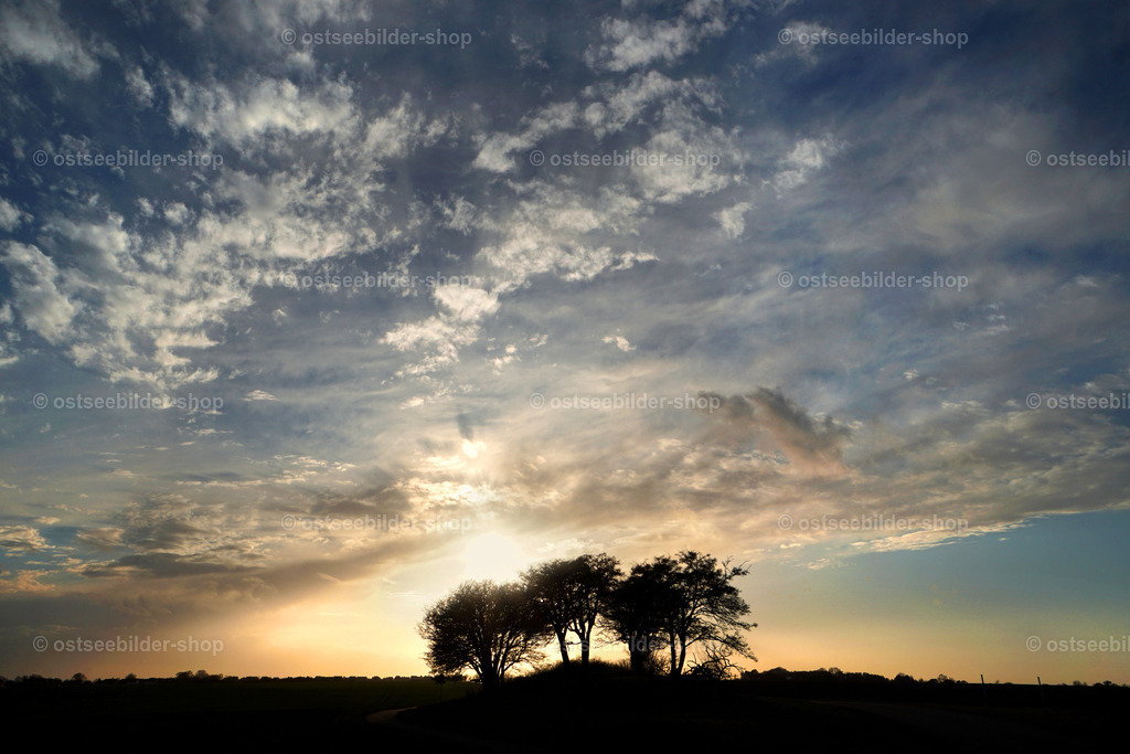 Hügelgrab mit Baumkranz  | Hügelgräber aus slawischer Zeit prägen das Landschaftsbild nicht nur auf Rügen, sondern an der gesamten Küste Norddeutschlands. Die Monumente unserer Ahnen stammen aus der Bronzezeit und sind meist in Ufernähe angelegt, um den Verstorbenen die Nähe zum Wasser zu ermöglichen. Man erkennt die Hügel schon aus einiger Entfernung an der kreisrunden Kuppe und dem Kranz aus großen, alten Bäumen.