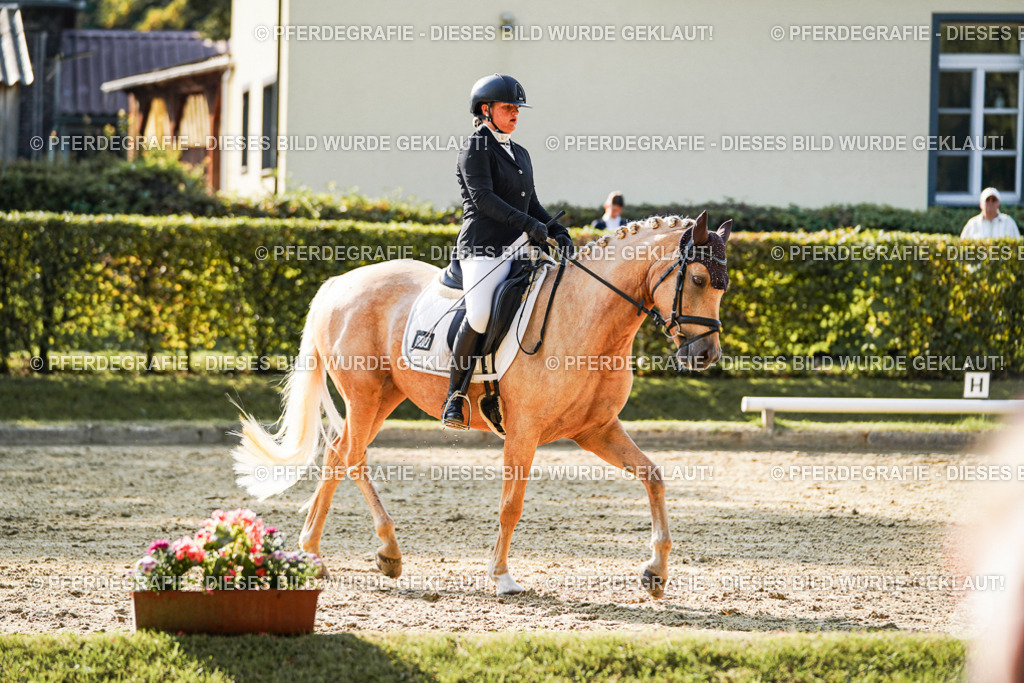 DSC05811 | Pferdegrafie