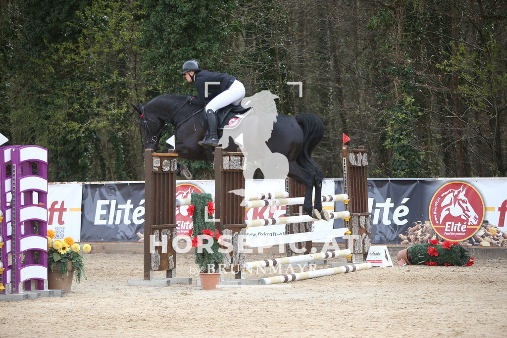 PP018098 | Willkommen bei Brunnmayr - Design & Fotografie – Ihrem Spezialisten für Reitturniere und Pferdeveranstaltungen in Oberösterreich, Salzburg und Bayern! Seit über 17 Jahren sind wir leidenschaftlich dabei.