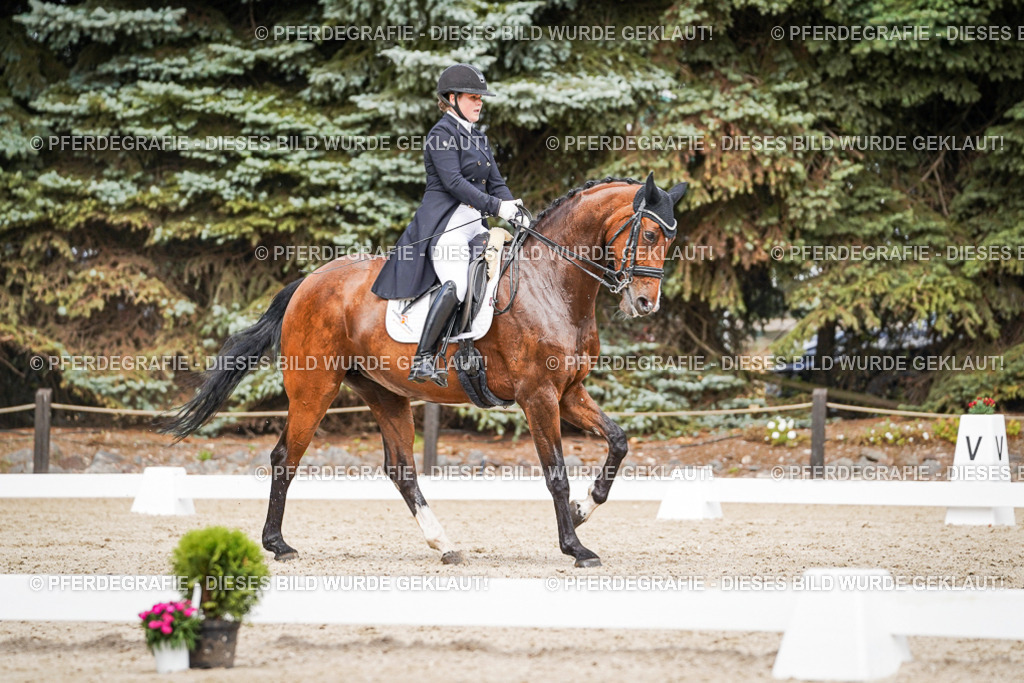 DSC06577 | Pferdegrafie