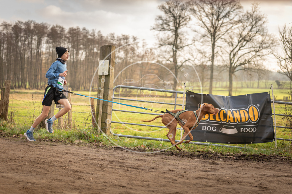 Pfotenfotografie_DV3A4493 | Hundefotografie, Tierfotograf, Pfotenfotografie, Fotoshooting Hund, Hunde Portrait, Hundesport, Hundeportraits, Heideshooting, Hunde, Sportfotograf, Hundefotograf, Turnierhundsport, THS,  - Realisiert mit Pictrs.com