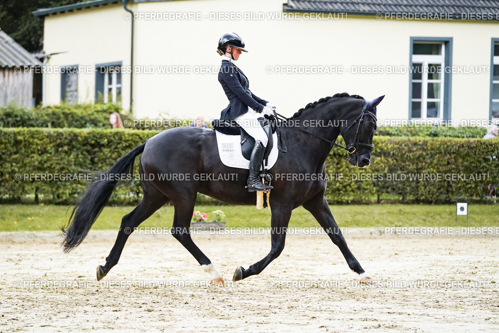 DSC06507 | Pferdegrafie